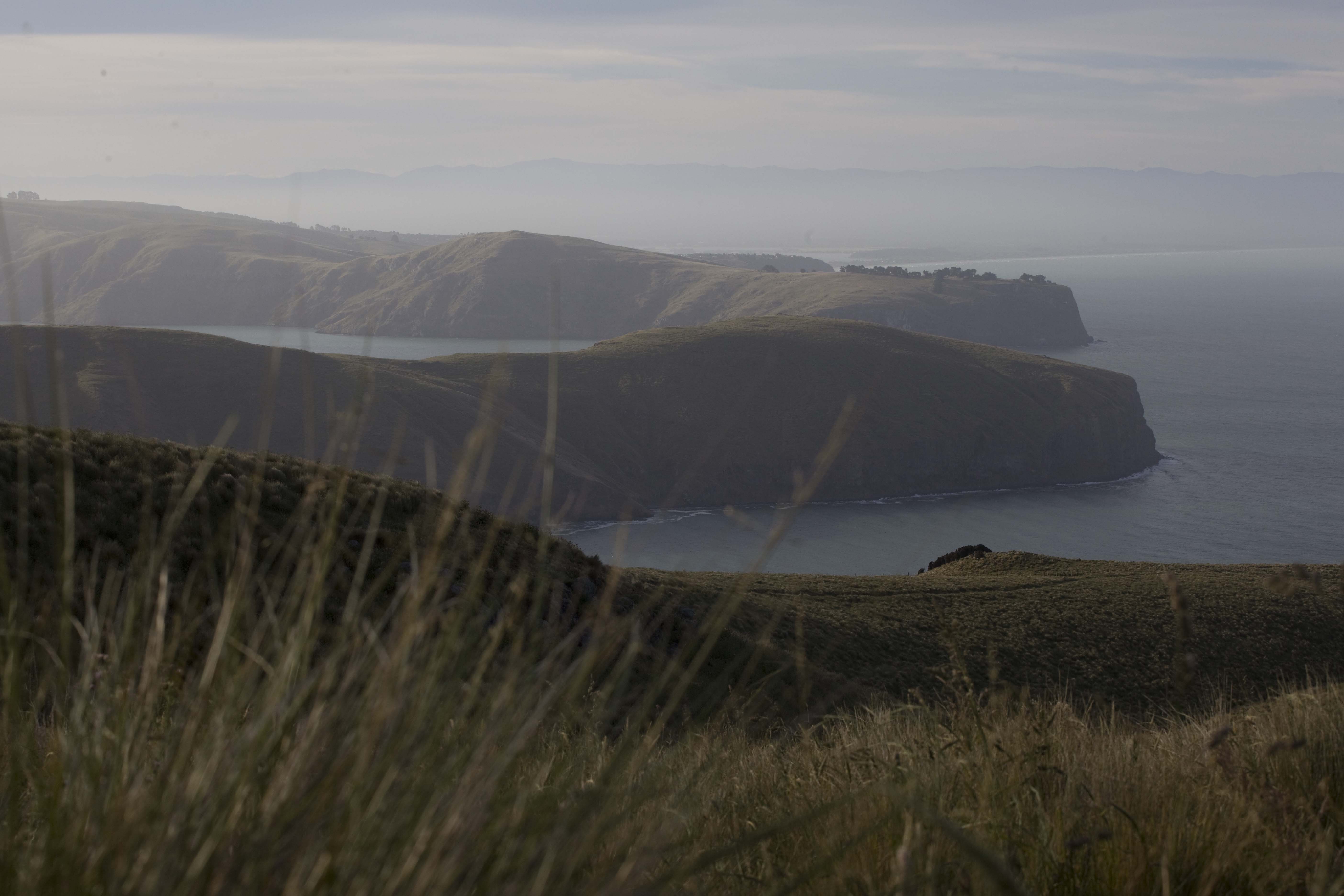 Banks Peninsula