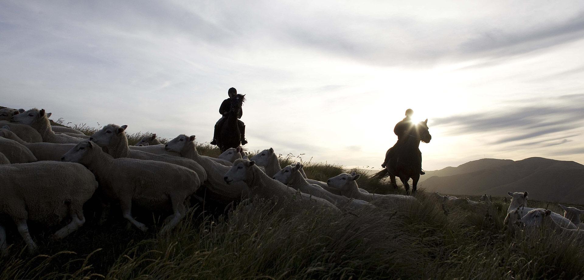 Sheep Farmers